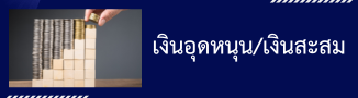 เงินอุดหนุน/เงินสะสม