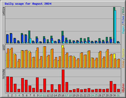 Daily usage for August 2024