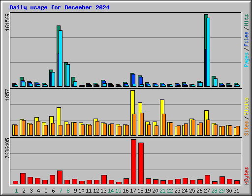 Daily usage for December 2024