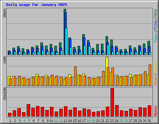 Daily usage for January 2025