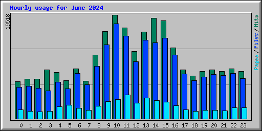 Hourly usage for June 2024