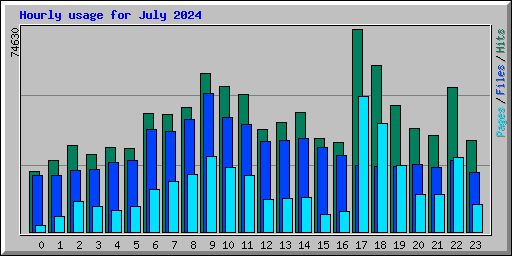 Hourly usage for July 2024