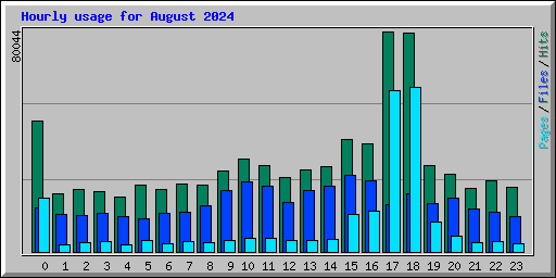 Hourly usage for August 2024