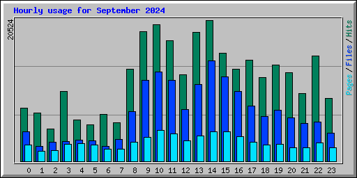 Hourly usage for September 2024