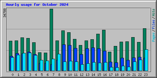 Hourly usage for October 2024