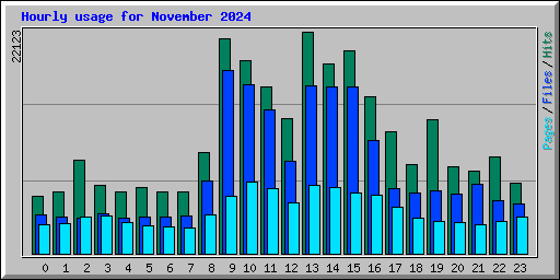 Hourly usage for November 2024