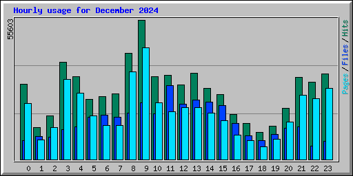 Hourly usage for December 2024