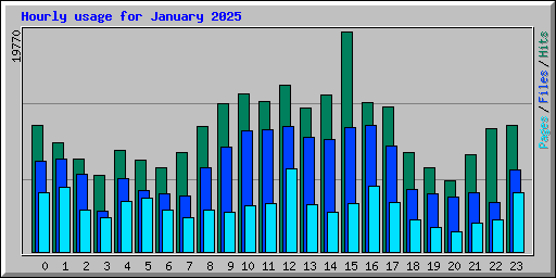 Hourly usage for January 2025