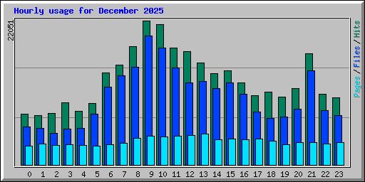 Hourly usage for December 2025