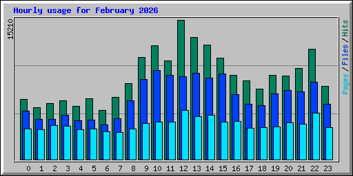 Hourly usage for February 2026